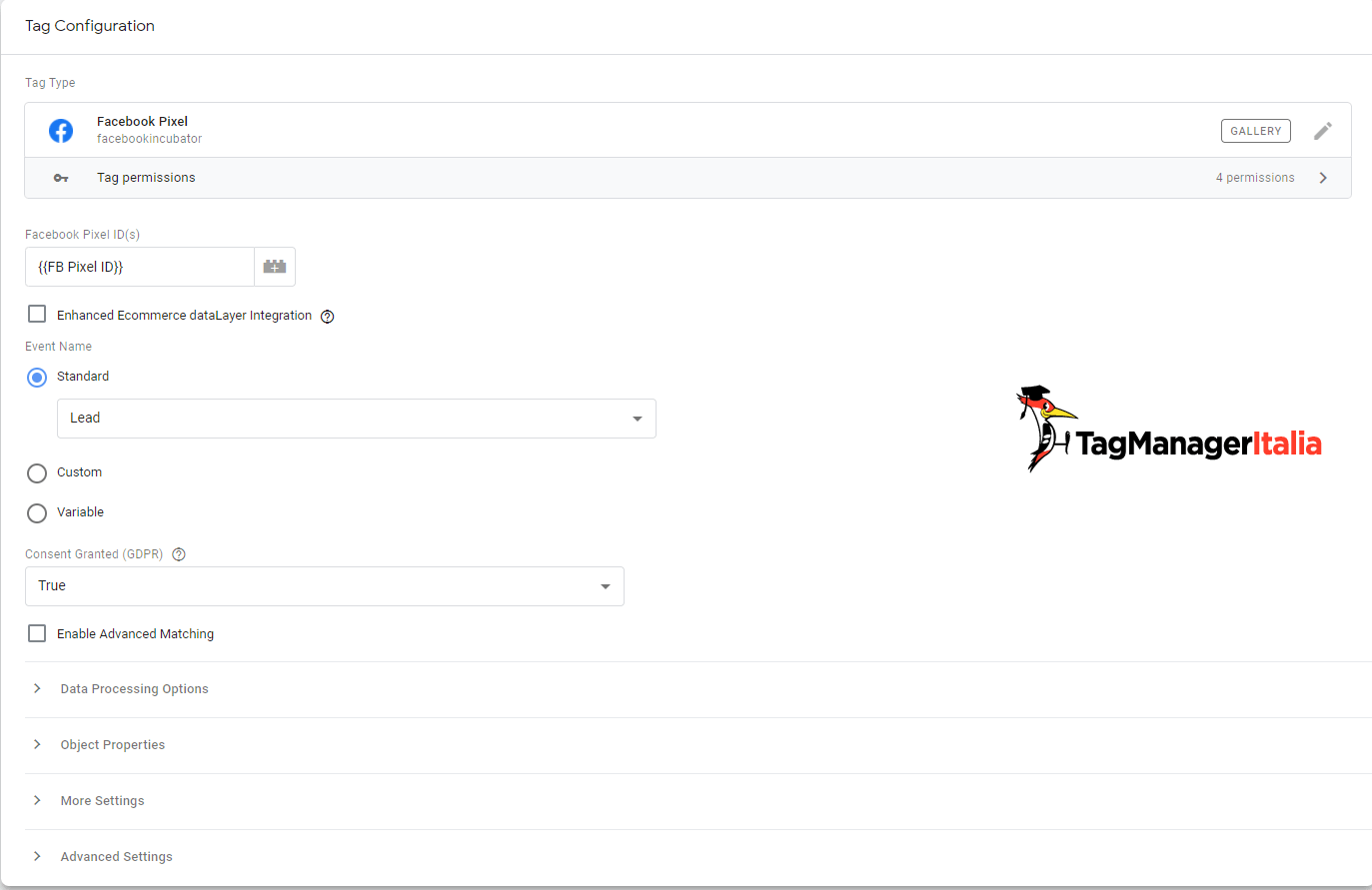Tag evento Lead Facebook utilizzando il template ufficiale Tag evento Lead Facebook utilizzando il template ufficiale